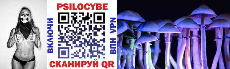 Купить где  Костерёво  Псилоцибиновые грибы ЛСД 